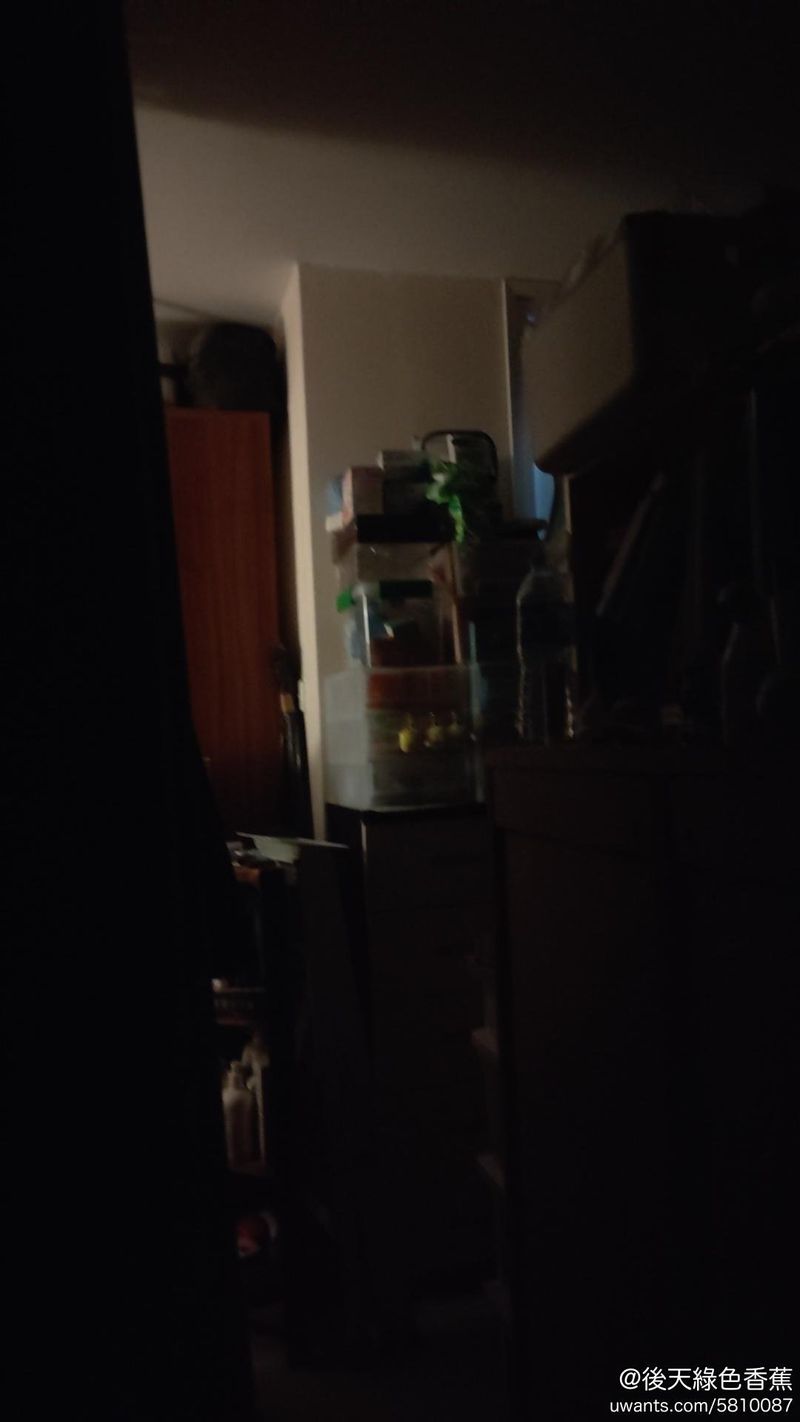 wx_camera_1748968394400.jpg