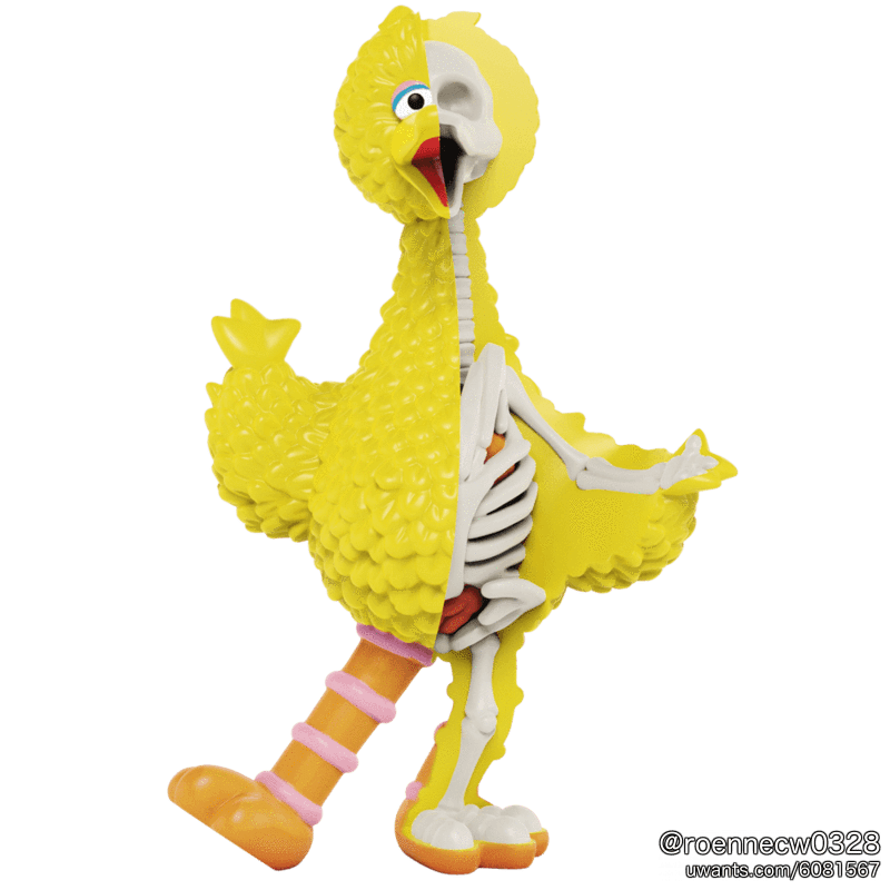 XXRay-BigBird[XXRAYPLUS]1.png
