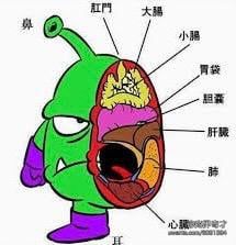 IMG_2966.jpeg