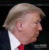 1606137537282.jpg