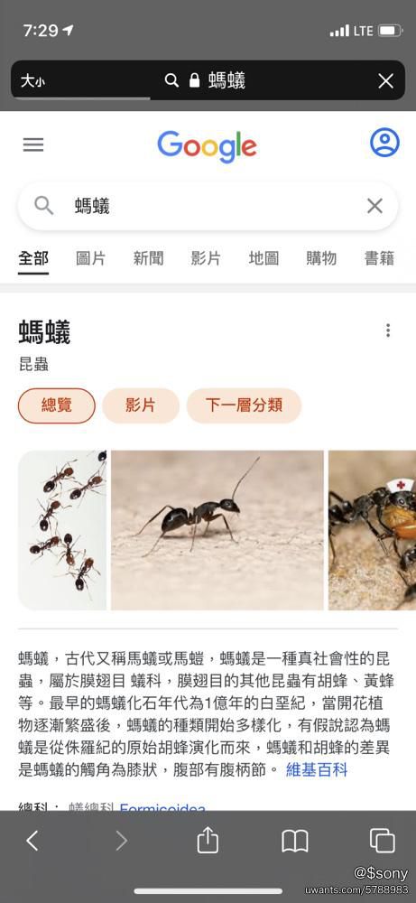 mobile_2.jpg