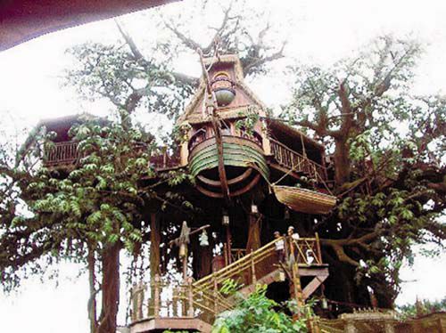 肯尼亞樹屋酒店.jpg