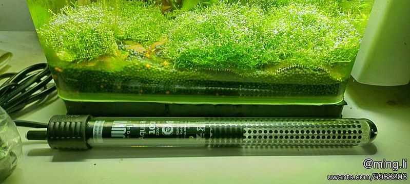 全新 juwell黑鑽100w暖管（已售） - 水族用品類買賣 - Uwants.com