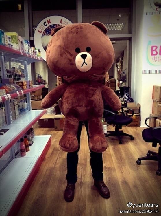 110cm 全新 熊大 brown 公仔 韓國直送 朋友送禮物 - 動漫產品買賣 - Uwants.com