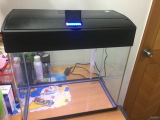 出售AA牌17.5寸圓角玻璃魚缸- Uwants.com