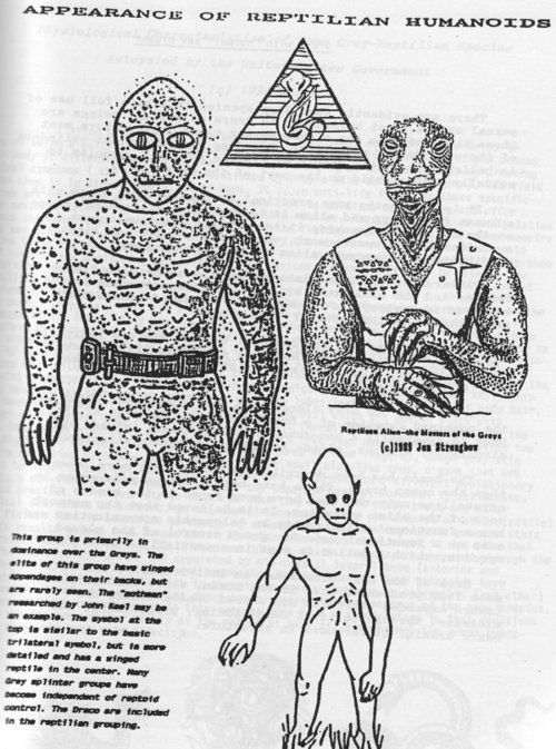 蛇首族希望多d人討論 One Piece 海賊王 動畫漫畫 Uwants Com